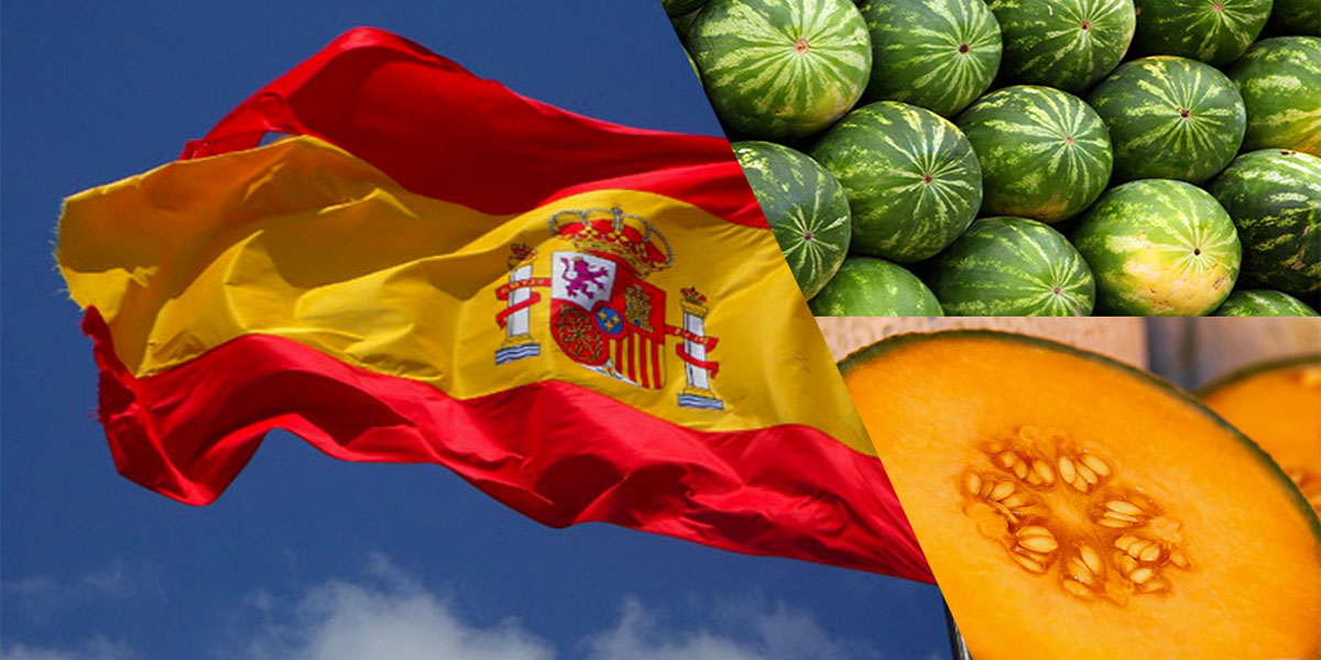 Murcia: grande ottimismo per la stagione di meloni e angurie